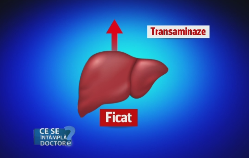 Cum sa interpretam corect analizele la ficat. Medic: Explicatia "ai ficatul obosit" este total gresita