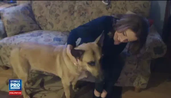 Un caine a fost condamnat la moarte pentru crima, dar testul ADN l-a salvat. Cazul neobisnuit derulat in SUA