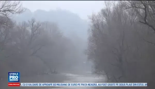 Dupa 150 de ani, in rezervatia Defileul Lapusului au reaparut castorii. Rozatoarele, atrase de apele nepoluate de la noi