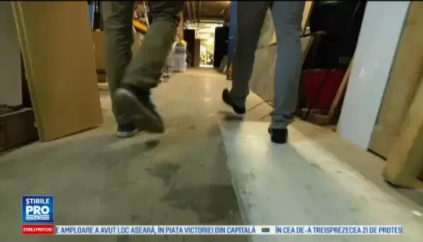 Ideea de afaceri cu care doi tineri din Danemarca vor sa dea lovitura. Sucul de greieri cu care i-au cucerit pe gastronomi