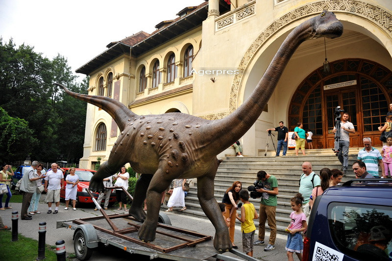 Ministerul Mediului: Valorile de radiatii in zona Muzeului National de Geologie din Capitala nu afecteaza sanatatea oamenilor