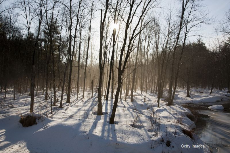 Soare si vreme placuta in sud, la deal si la munte, dar cu ceva ceata in zonele joase. Cum va fi vremea in weekend
