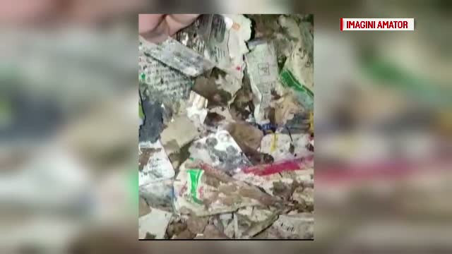 Descoperire socanta intr-o padure din Gorj. Sute de kilograme de medicamente, gasite aruncate pe marginea unui parau