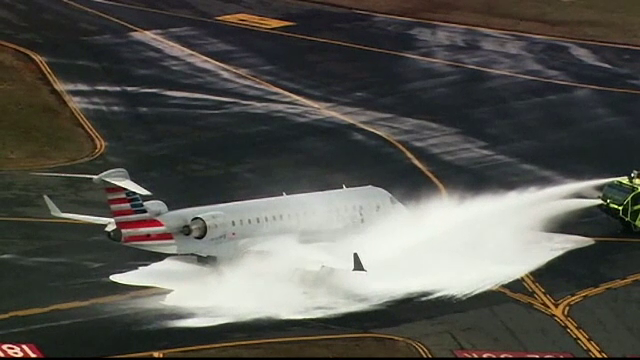 44 de pasageri, evacuati de urgenta dintr-un avion American Airlines. Incidentul petrecut in timpul decolarii, cu un cerb