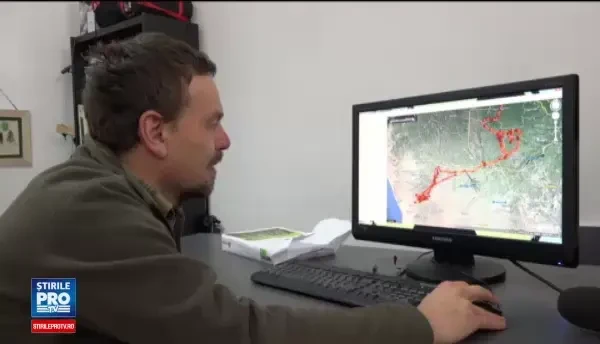 Acvila Arlie, singura dotata cu un emitator, a inceput migratia de primavara. Cat km va zbura si cand ajunge in Romania