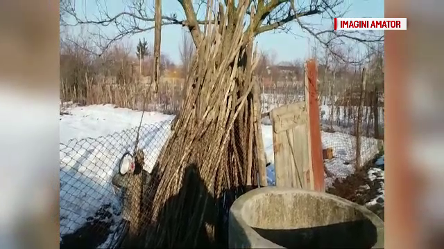 A vrut sa curete copacii din curtea casei, dar a cazut in fantana. Cum l-au gasit rudele