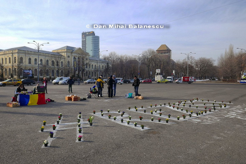 Cativa manifestanti au adus vineri ghivece de flori in Piata Victoriei. Cuvantul format in fata Guvernului