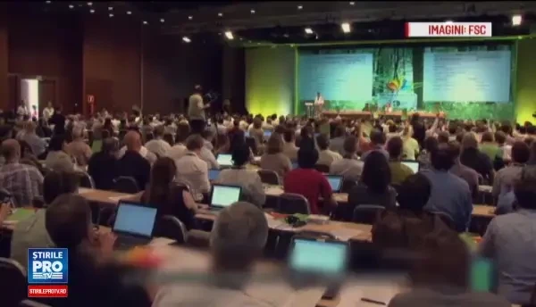 Lovitura primita de colosul austriac Holzindustrie Schweighofer, cel mai mare procesator de lemn din Romania