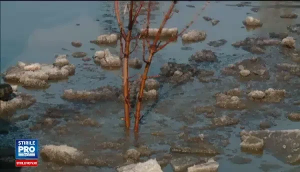 Autoritatile au inceput operatiunea Marea Plombare a soselelor cu gropi. Ce a patit un sofer chiar la intrarea in Capitala