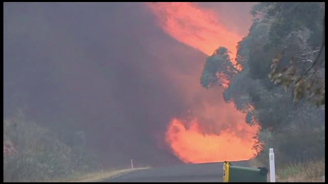 Sud-estul Australiei, devastat de incendii puternice de vegetatie. Autoritatile au identificat 90 de focare