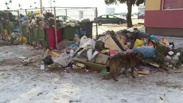 Strazile din Orsova, pline cu mormane de gunoaie. Cum incearca autoritatile locale sa rezolve problema