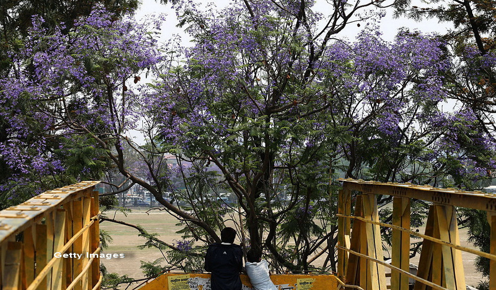 Meteorologii anunta o primavara cu temperaturi normale, dar ploioasa. Cum va fi vremea de Paste si 1 Mai