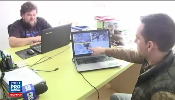 Fenomen studiat in premiera in Romania. Cercetatorii au montat camere video in paduri si contrazic tot ce stiam