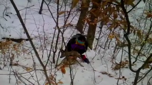 Caprioare prinse in capcanele braconierilor salvate de tinerii dintr-un club montan: "Am auzit ragetele de la 200 de metri"