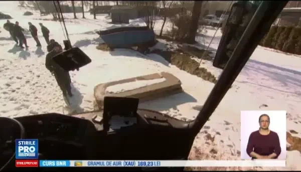 Un centru de antrenare a cainilor din Cehia se lauda cu politisti canini de clasa mondiala. In ce constau antrenamentele