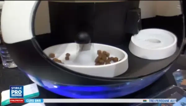 iLikeIT. Camera video care iti pazeste casa si zgarda inteligenta pentru caini