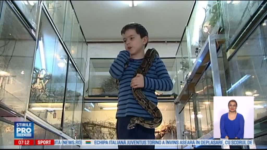 O familie are acasa 12 pisici, 2 caini, un crocodil, cateva soparle si 120 de serpi. Cum se impaca animalele intre ele. VIDEO