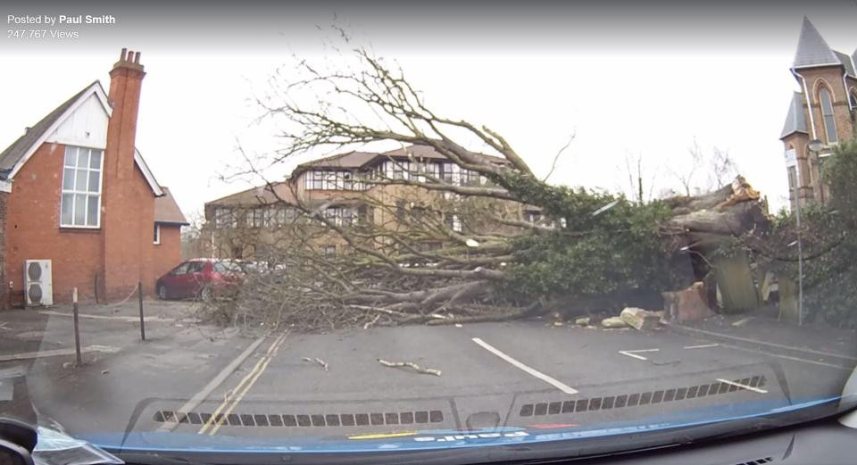 Un arbore masiv s-a prabusit pe drum, chiar in fata masinii sale. Norocul prin care soferul a scapat cu viata. VIDEO
