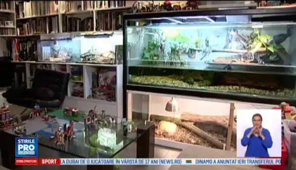 O familie are acasa 12 pisici, 2 caini, un crocodil, cateva soparle si 120 de serpi. Cum se impaca animalele intre ele