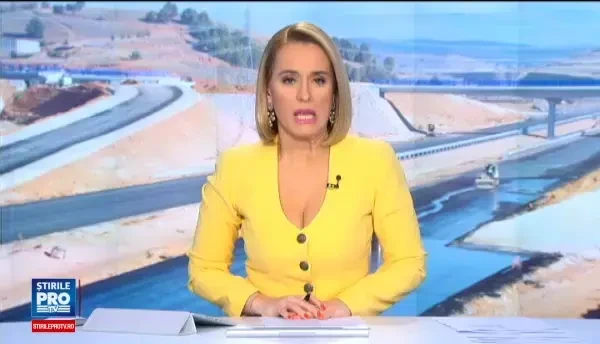 ANAF: Statul roman a fost pagubit cu peste jumatate de miliard de euro in urma contractului cu americanii de la Bechtel