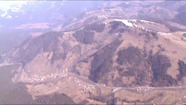 In tara in care dispar 3 hectare de padure in fiecare ora, parlamentarii vor sa elimine amenzile pentru cei care taie ilegal