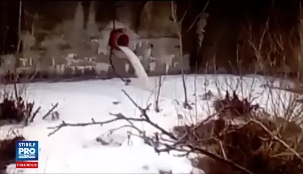 Poluare pe raul Barsa, la Zarnesti. Oamenii au filmat cum dintr-o conducta a unei fabrici se scurg deseuri