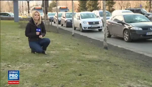 Se intorc panselutele in sectorul 3. Robert Negoita vrea sa dea o suma colosala pe flori care rezista cel mult doi ani