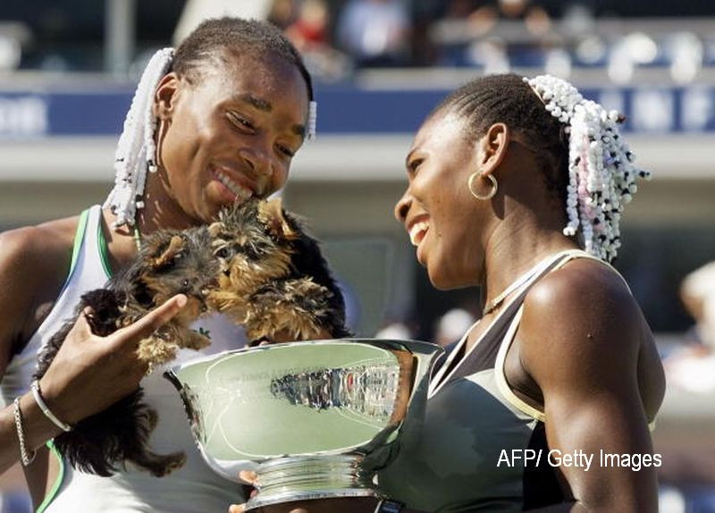 Pentru al doilea an consecutiv, turneul de tenis Brazil Open va avea caini in loc de copil de mingi. Care e scopul campaniei