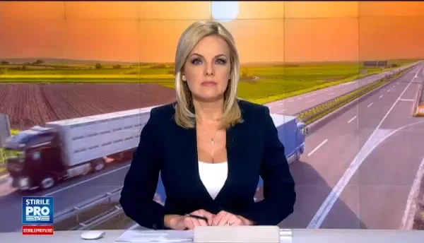 Modul barbar in care sunt transportate animalele in tara si peste hotare. Ia uite, turturi de gheata pe ele!