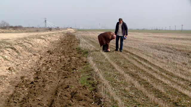 Programul ce ar fi trebuit sa ajute fermierii le pune de fapt piedici. Ce trebuie sa faci pentru bani prin "Prima Impadurire"