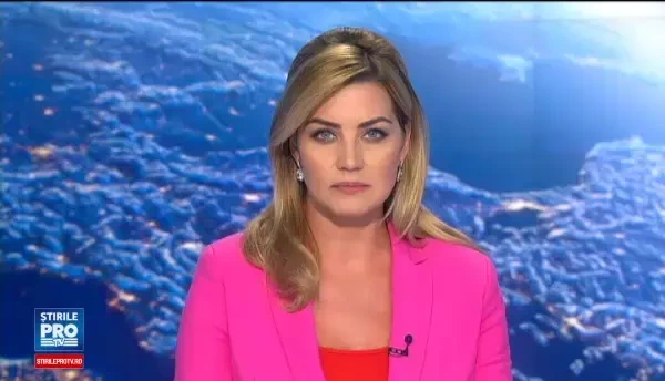 Operatiune de salvare a unui pui de delfin, la Eforie. Un barbat a intrat in apa inghetata si l-a ajutat sa ajunga in larg