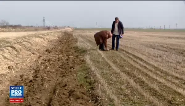 Programul ce ar fi trebuit sa ajute fermierii le pune de fapt piedici. Ce trebuie sa faci pentru bani prin Prima Impadurire