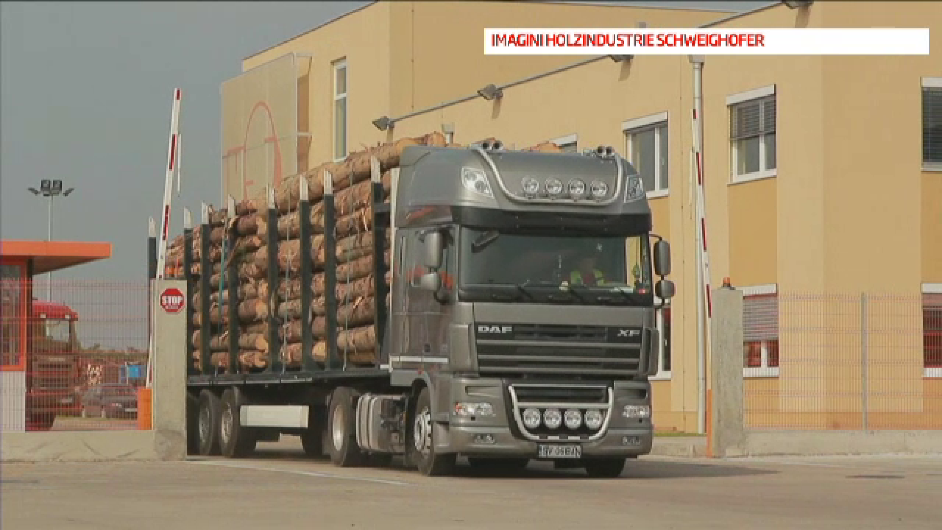 Primele companii din Romania care au anuntat ca renunta la contractul cu cel mai mare procesator de lemn din tara