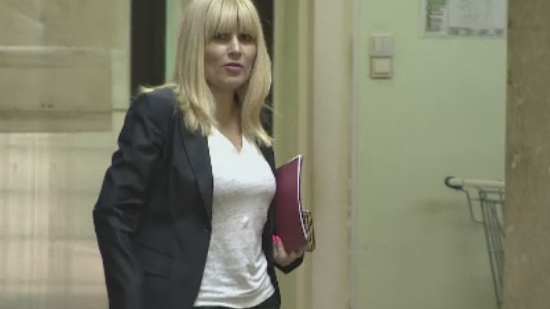 Elena Udrea, mesaj pentru Codruța Kovesi: ”Bun venit în clubul penalilor!”