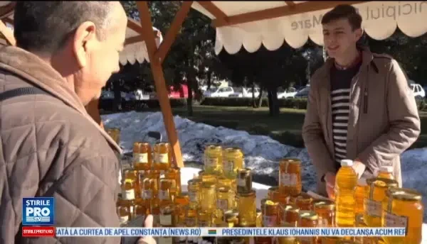 Mierea va fi mai putina si mai scumpa anul acesta. Apicultorii se plang ca un sfert din albine au murit in timpul iernii