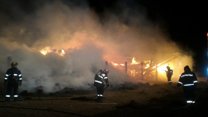 35 de incendii in Timis si Caras-Severin: proprietarii de pamanturi au dat foc la vegetatia uscata. Au ars sute de hectare