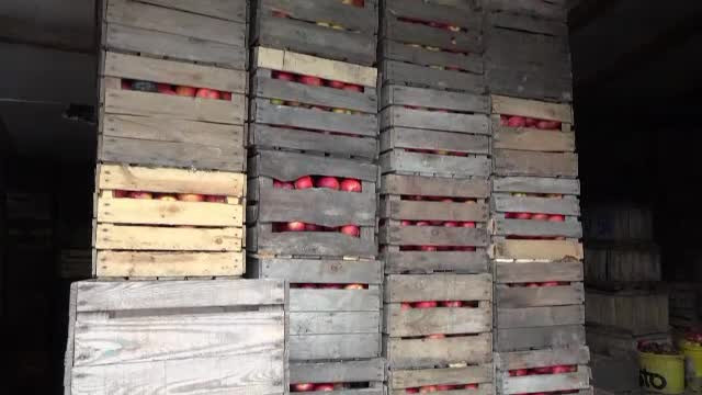 Situatie disperata pentru producatorii de mere. Depozitele sunt pline cu tone de fructe, insa nu le cumpara nimeni