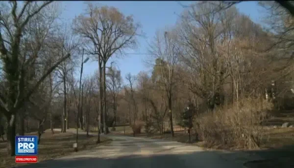 Ministerul Culturii vrea sa achizitioneze Conacul Bratienilor de la Florica. Pretul de la care pornesc negocierile