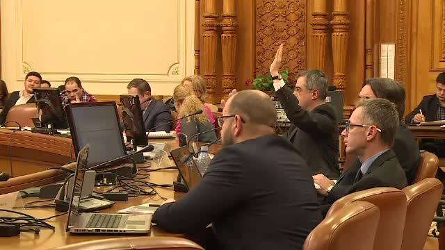 Aviz favorabil in Comisia Juridica a Camerei Deputatilor pentru revizuirea Constitutiei pe tema definitiei familiei