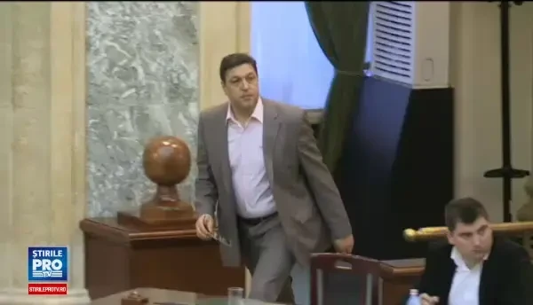 Comisia Juridica a Senatului amana dezbaterea proiectului gratierii. Serban Nicolae: Oamenii sunt fie prosti, fie ticalosi