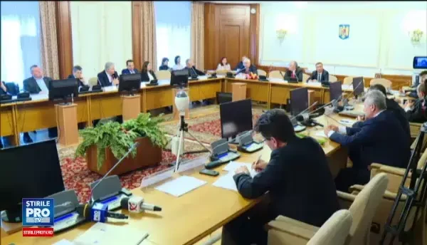 Silvicultorii vor scaderea amenzilor pentru defrisari. Sanctiunile introduse de Guvernul Ciolos ar putea fi anulate