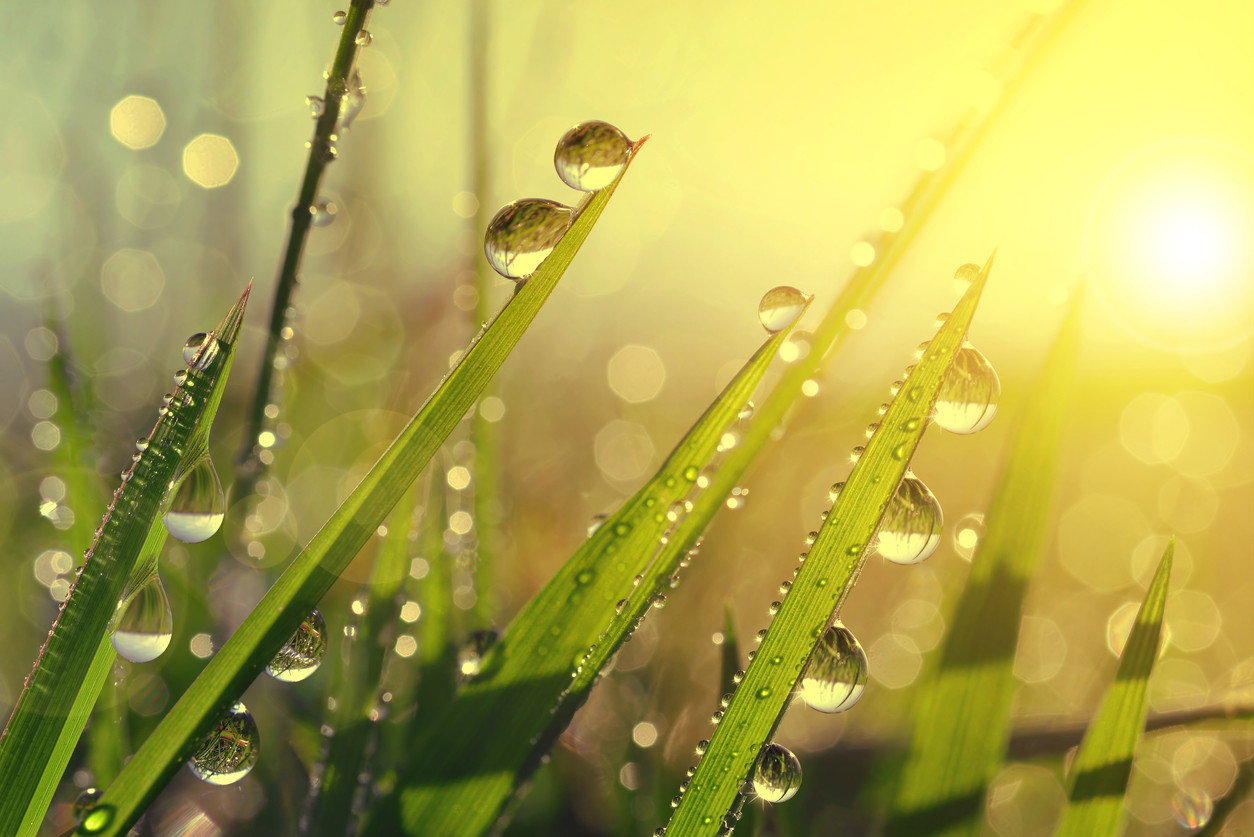 Vremea va fi deosebit de calda, vineri, in aproape toata tara, dar se raceste accentuat in weekend. Prognoza meteo pana luni