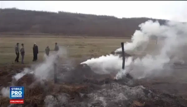 Incendii in cinci gospodarii din judetul Bacau, in decurs de o luna. Un caine-detectiv l-ar fi descoperit pe prioman