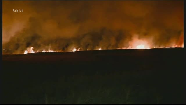 Un barbat din Arges a vrut sa dea foc miristii, dar a ars de viu. Victima si-ar putea pierde si subventia APIA
