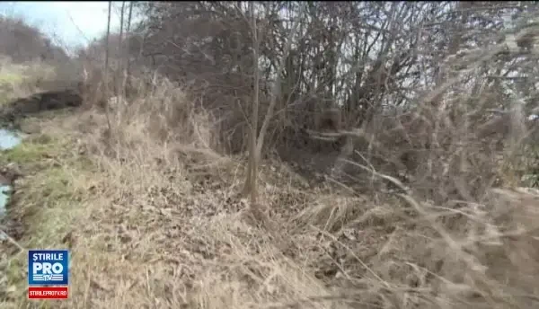 Descoperirea incredibila facut de un fermier din Romania pe camp. Cand am vazut, mi s-au inmuiat picioarele