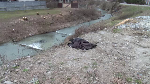 femeie cazuta de pe pod