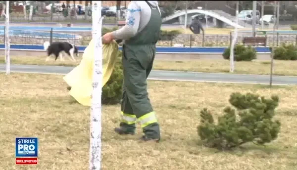 Munca in folosul comunitatii, pedeapsa preferata a romanilor. Scapa de puscarie si nu patesc nimic daca nu o executa