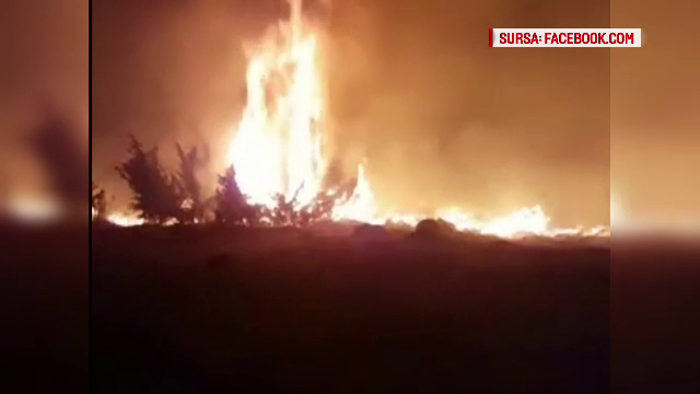 Incendiu de vegetatie in Maramures, extins pe 10 hectare. 80 de sateni i-au ajutat pe pompieri sa stinga flacarile