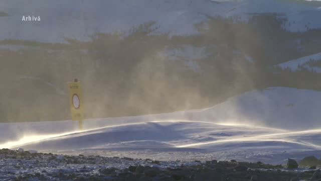 Cei trei turisti germani, rataciti in Muntii Bucegi, gasiti si dusi in siguranta in statiunea Bran