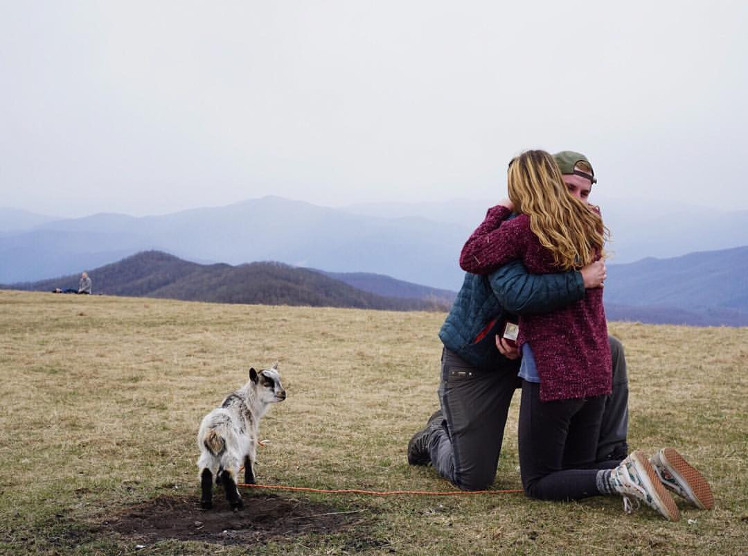 Cerere in casatorie inedita, pe varf de munte. Un barbat si-a cerut iubita de sotie cu ajutorul unui pui de capra. VIDEO